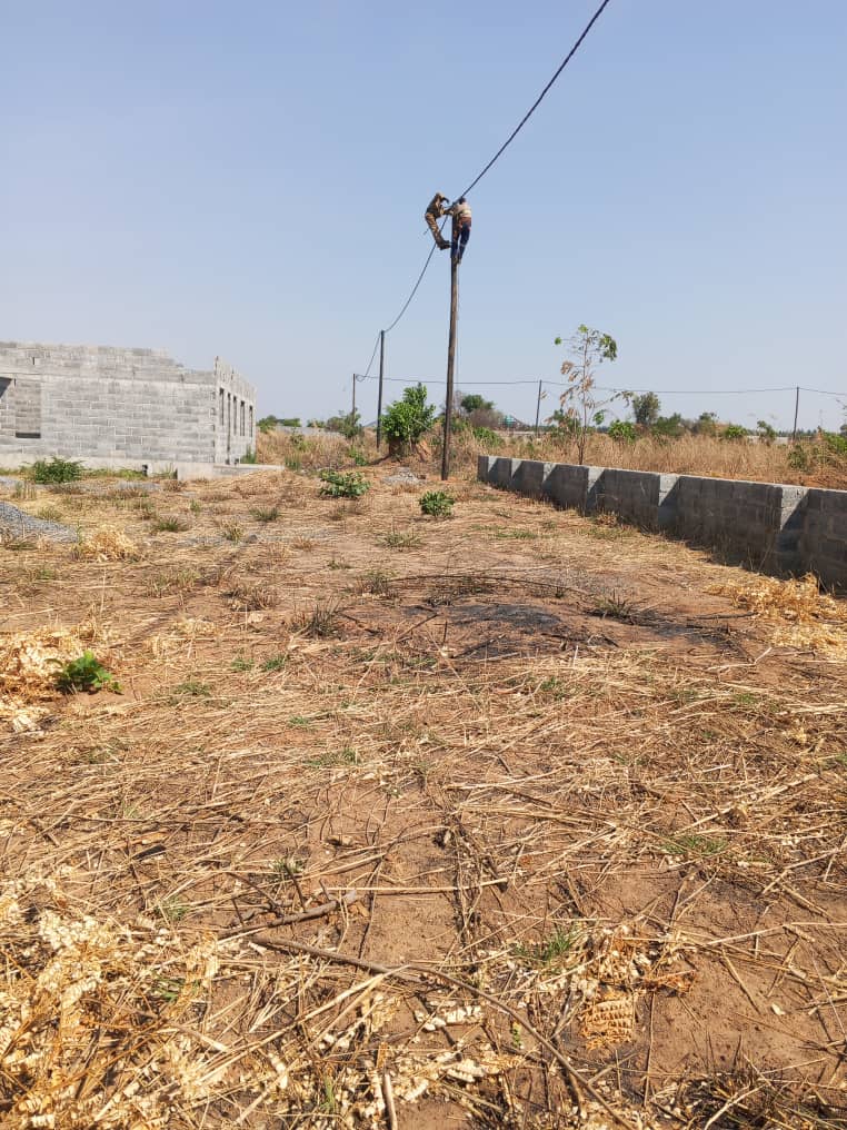 Distribution line pole construction