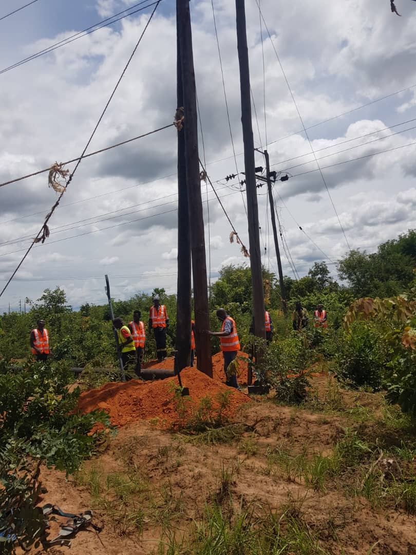 Distribution line pole erection crew