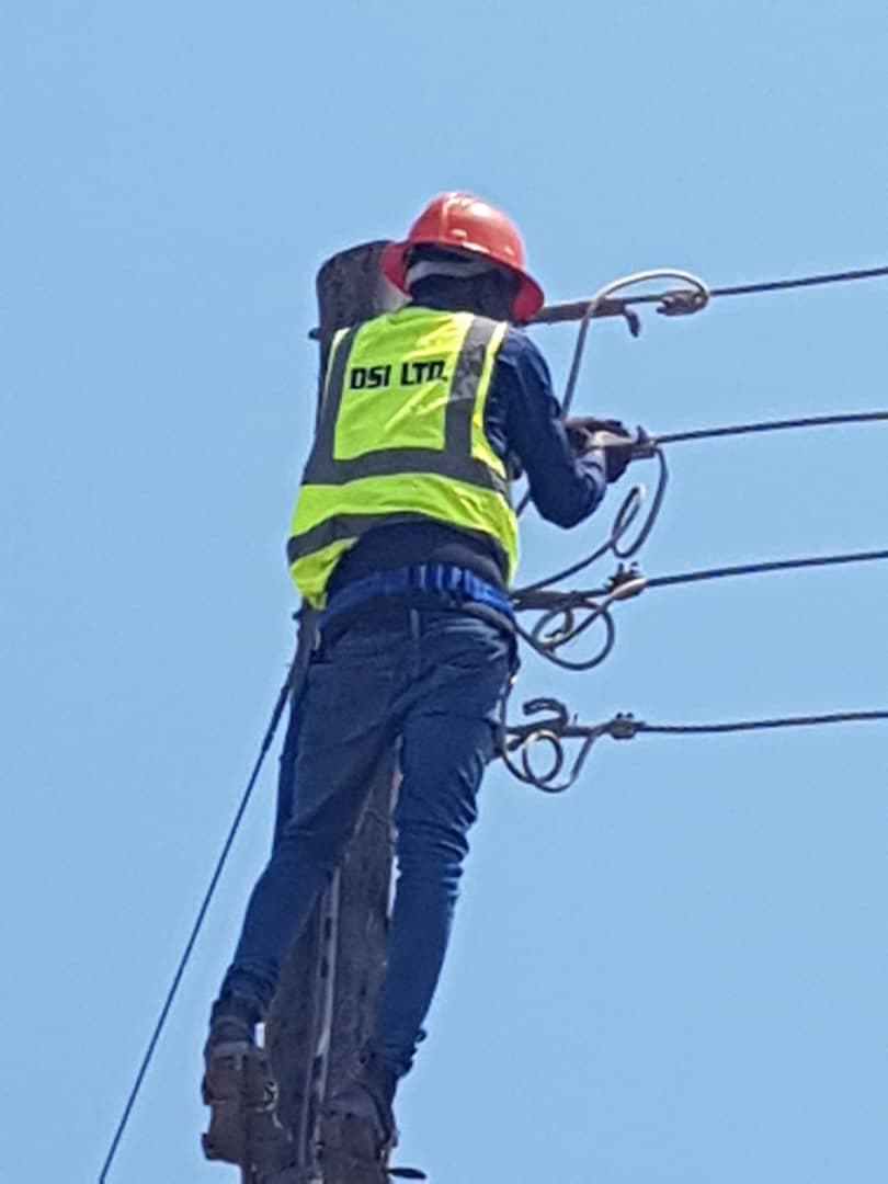 DSIL lineman working at height on distribution line
